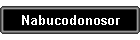 Nabucodonosor