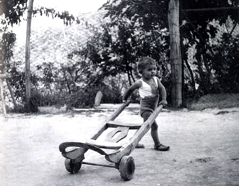 Photograph