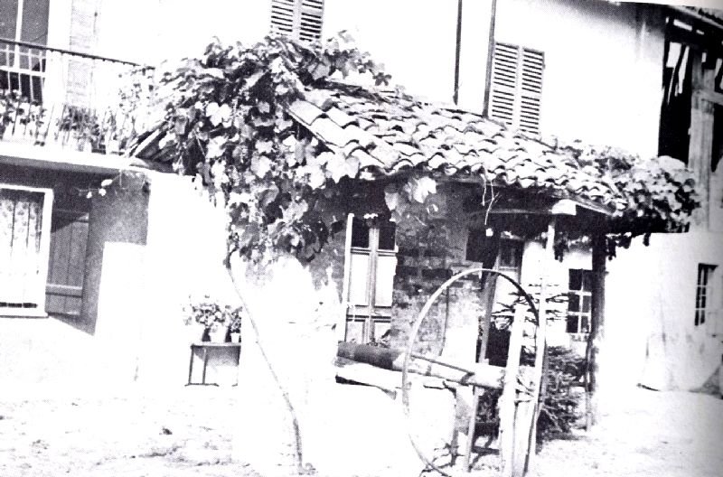 Photograph