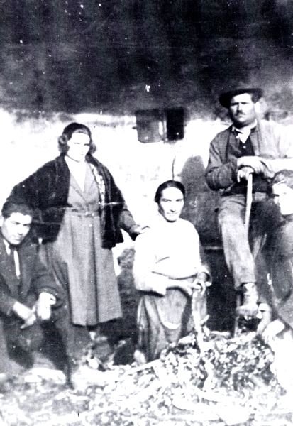 Photograph