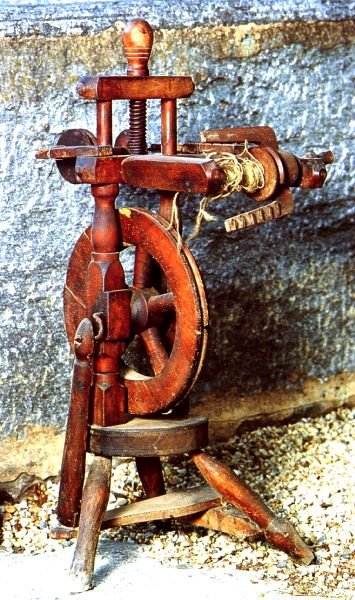 Photograph
