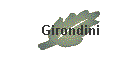 Girondini