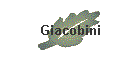 Giacobini