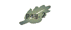 pag. 2