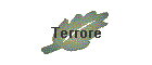 Terrore