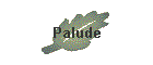 Palude