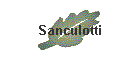 Sanculotti
